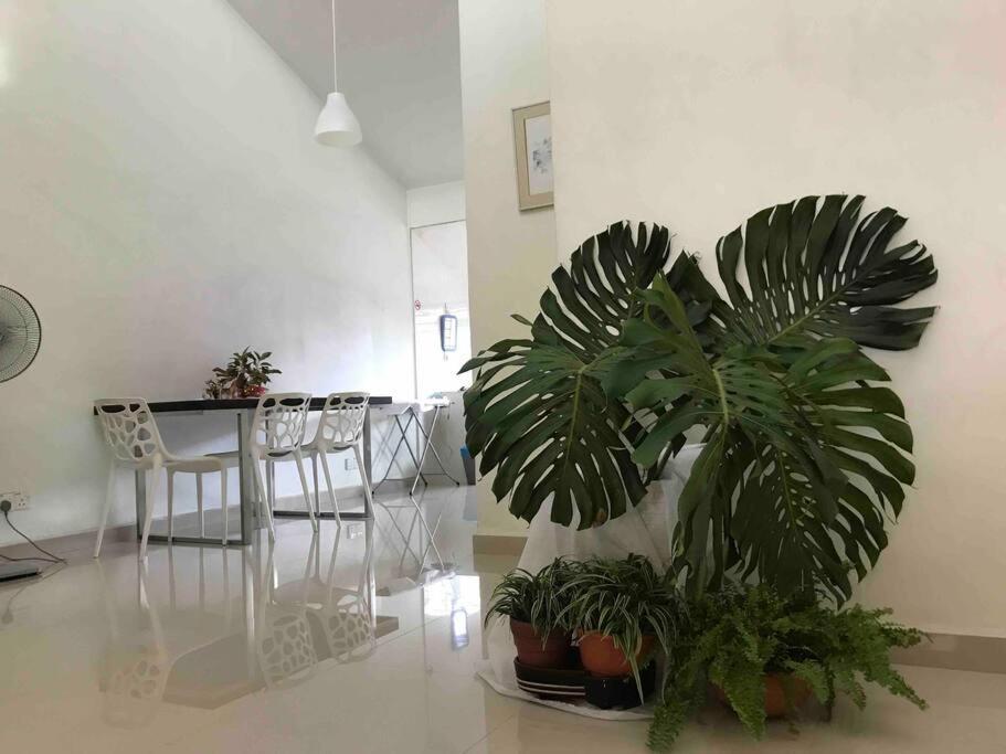 Terrace House Near Stulang Laut Ciq Midvalley Ksl For 7Pax Джохор-Бару Экстерьер фото